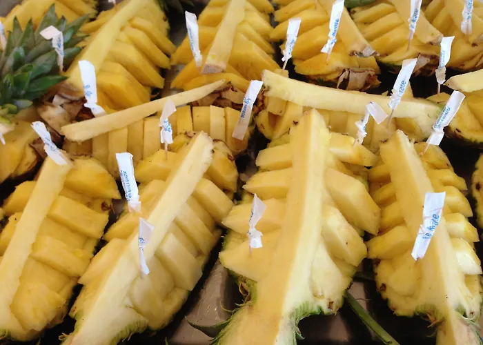 Отель Imperial Римини