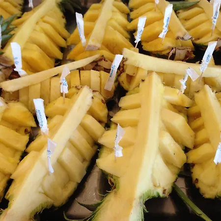 Hotell Imperial Rimini